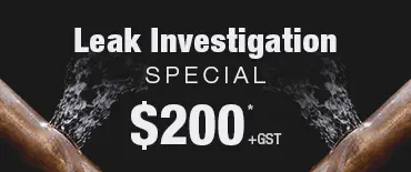 Leak Investigation Discount Glendowie